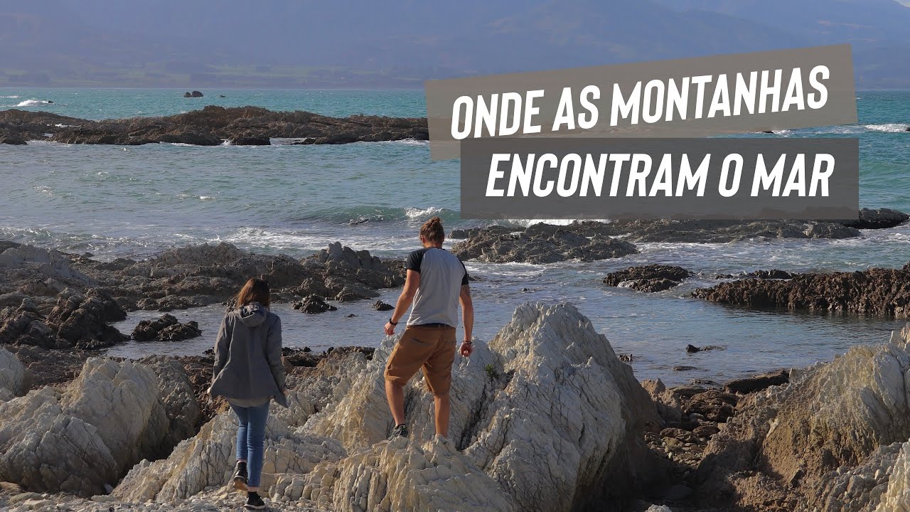 Descemos um penhasco para ver leões-marinhos! | KAIKOURA