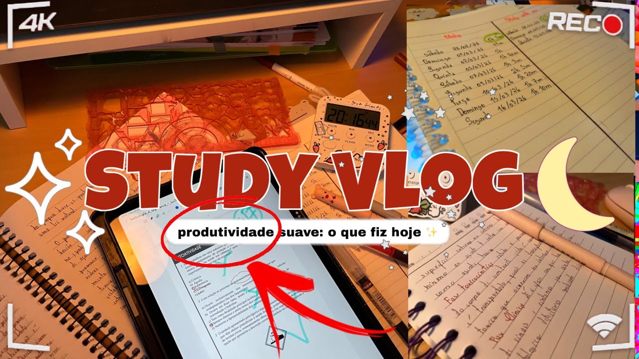 Study Vlog (produtividade suave) o que fiz hoje ✨🌱 #study 