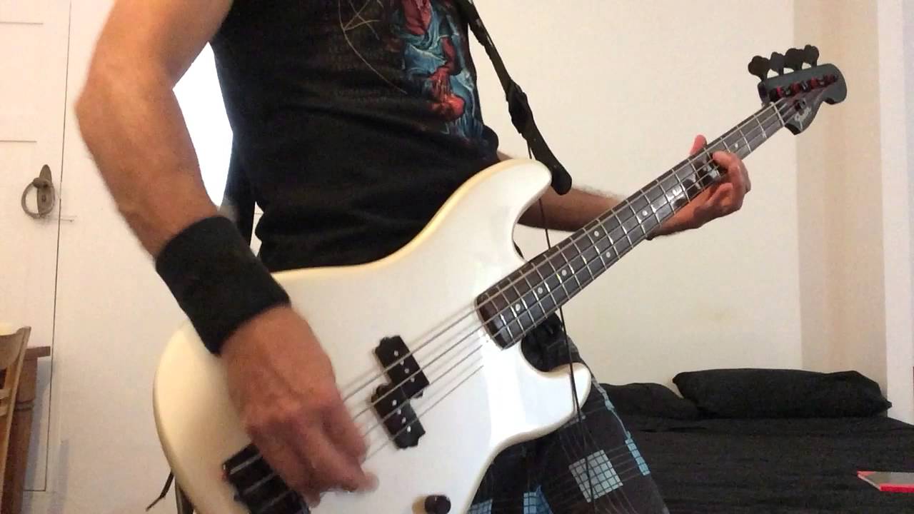 Welcome To The Jungle, Bass cover with Fender 