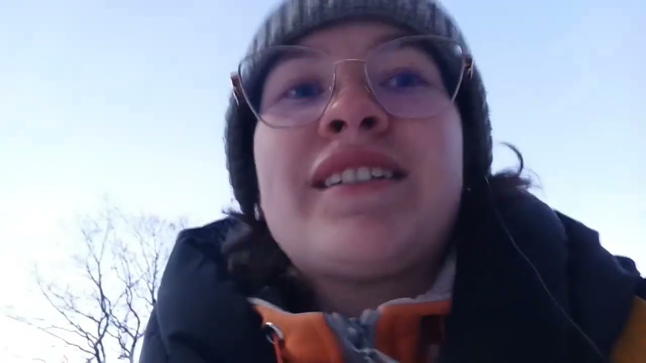 Поездка в Питер с Кляксой.Первый раз поездом с собакой.