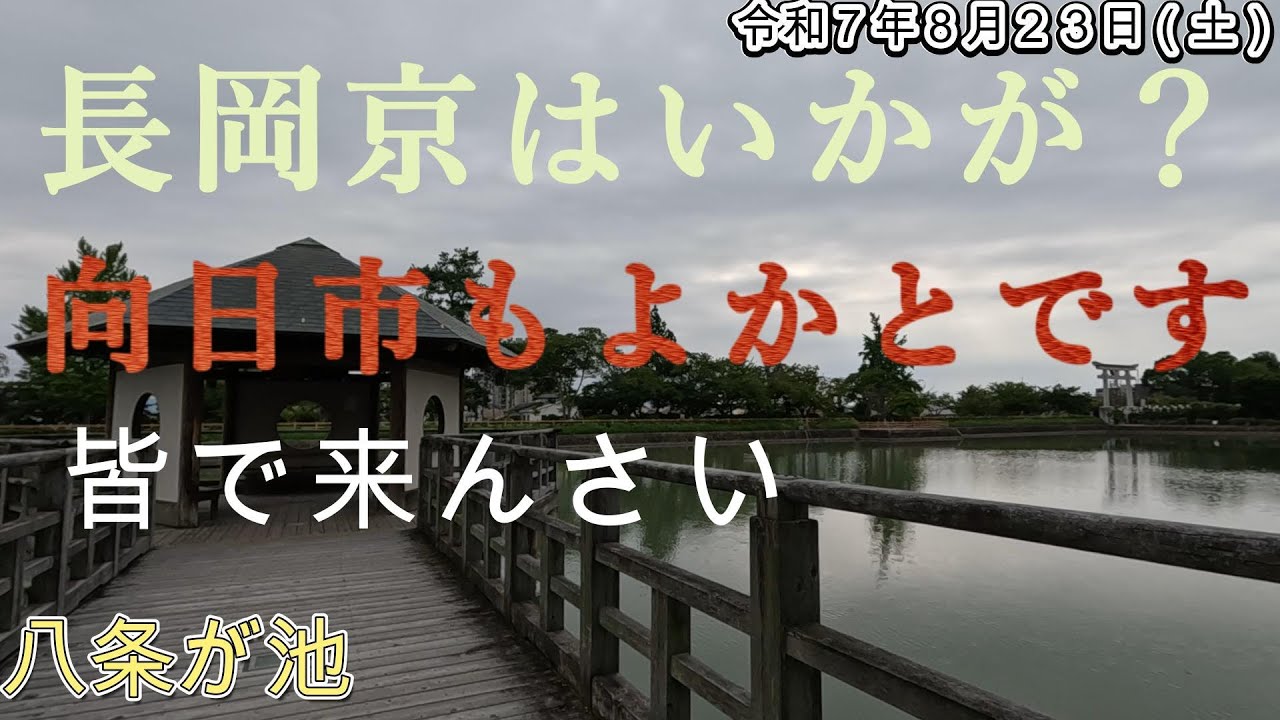 京都府長岡京市・向日市