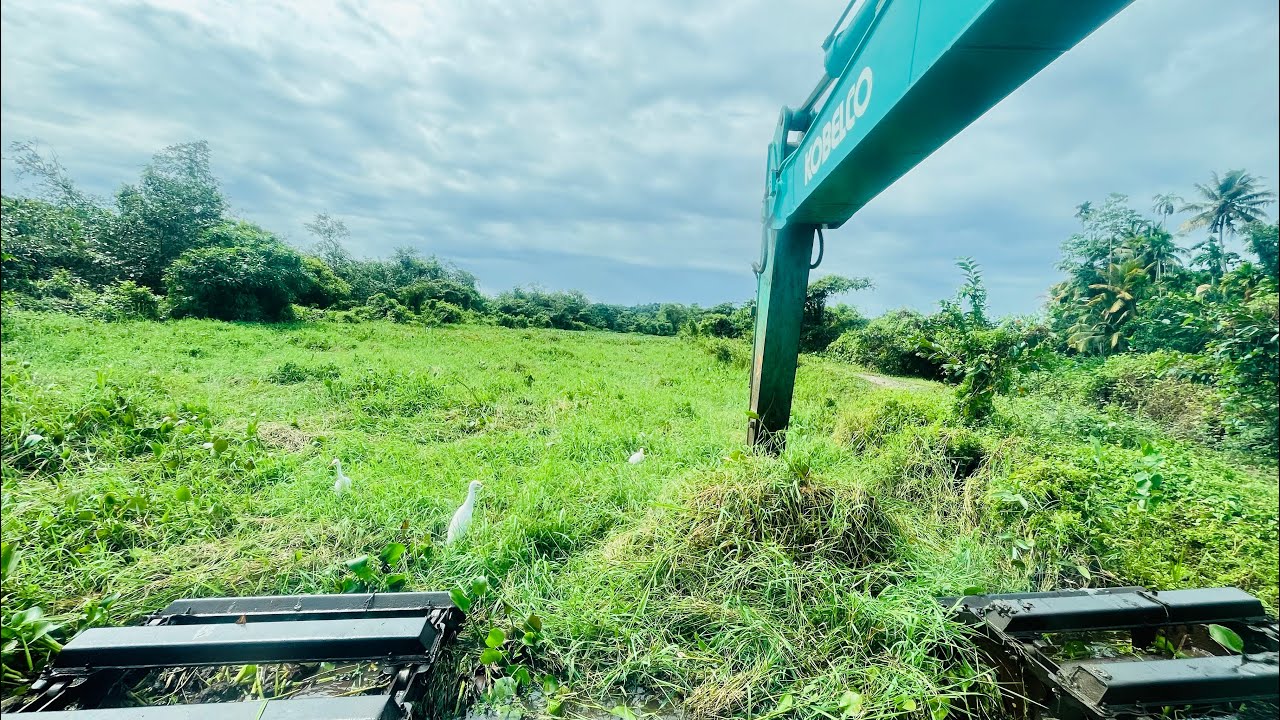 Watch how an Amphibious Excavator cleans a river filled with overgrown reeds and floating plants.💪💪