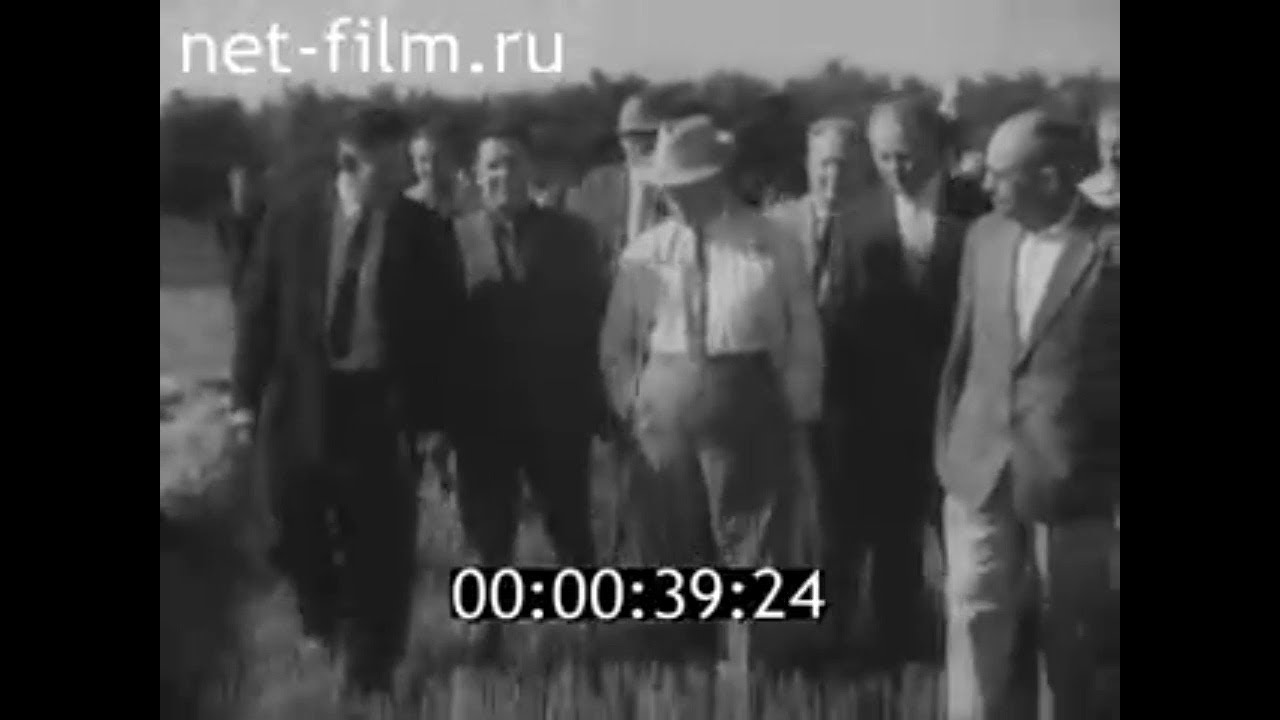 1964г. п. Целинный колхоз Декабрист Ершовский район Саратовская обл