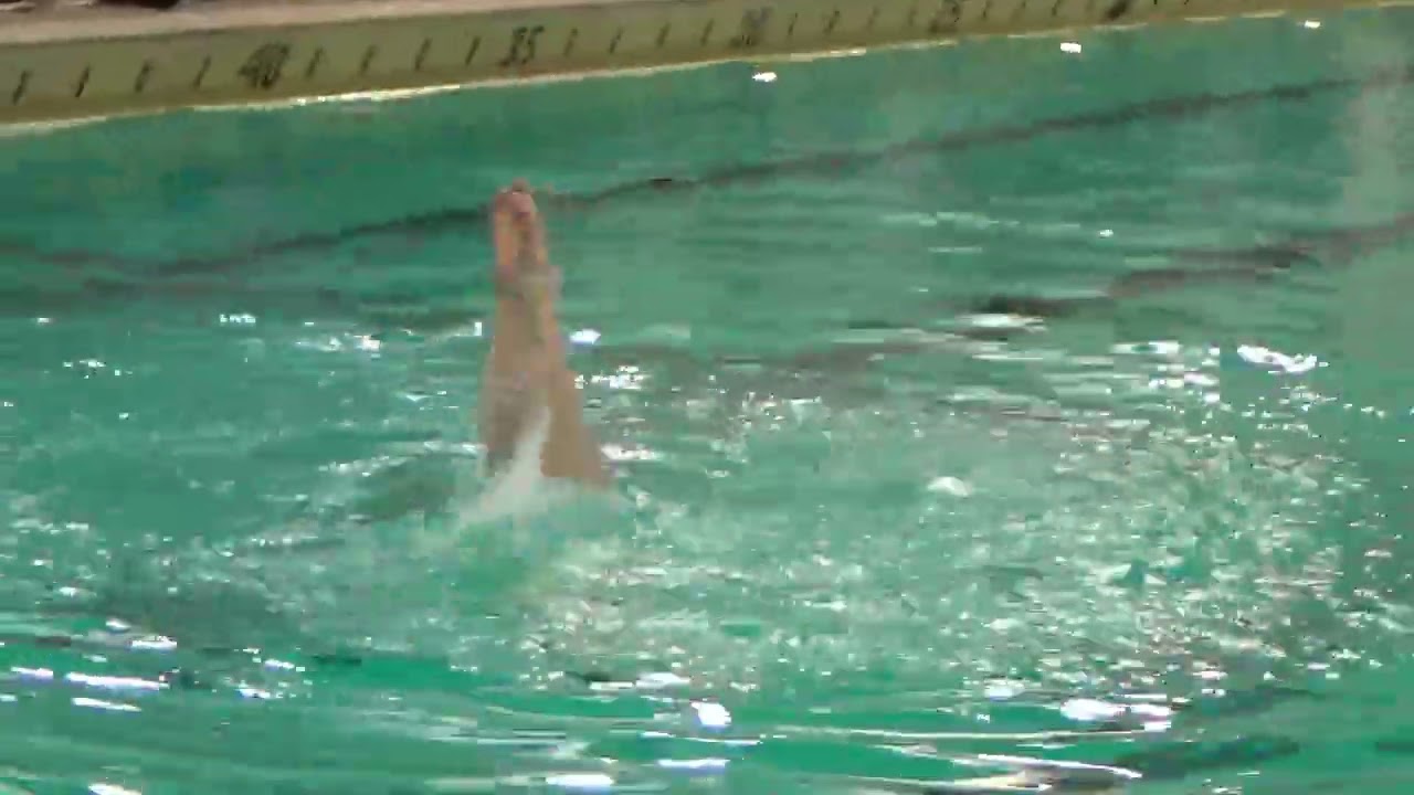 Aquafins Show 2026 - Iris Show Solo