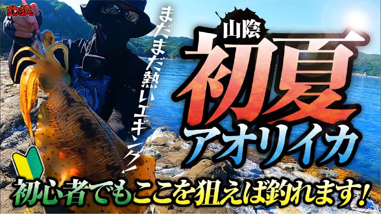【エギング】初夏のキロアップはこう釣る！山陰の夏アオリイカを調査してみた！