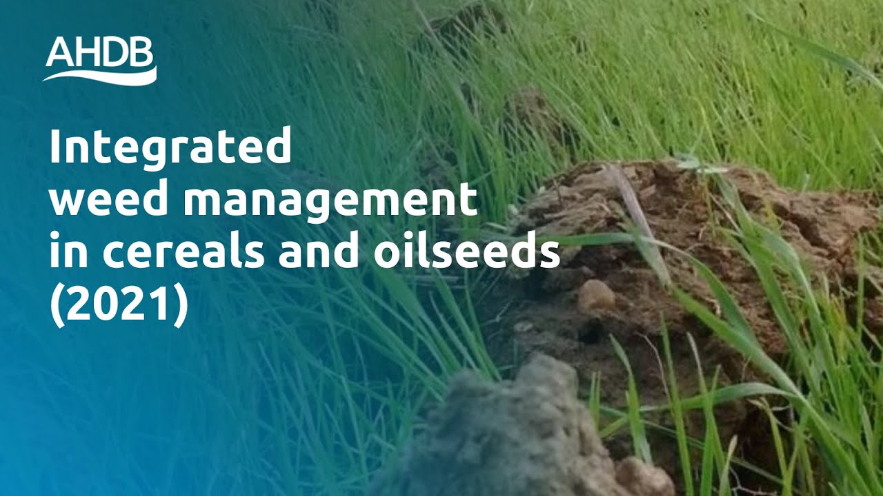 Integrated weed management &ndash; Agronomists&rsquo; Conference 2021