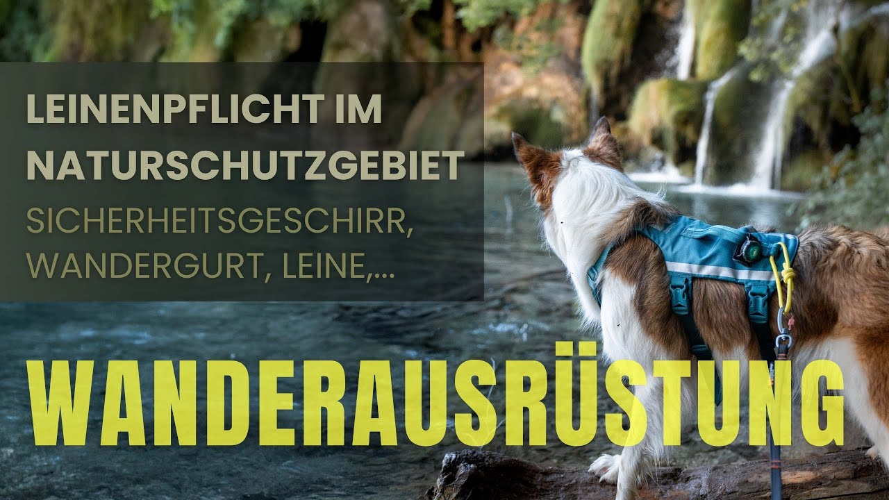 Leinenpflicht beim Wandern mit Hund? | Tipps f&uuml;r Naturschutzgebiete & Nationalparks