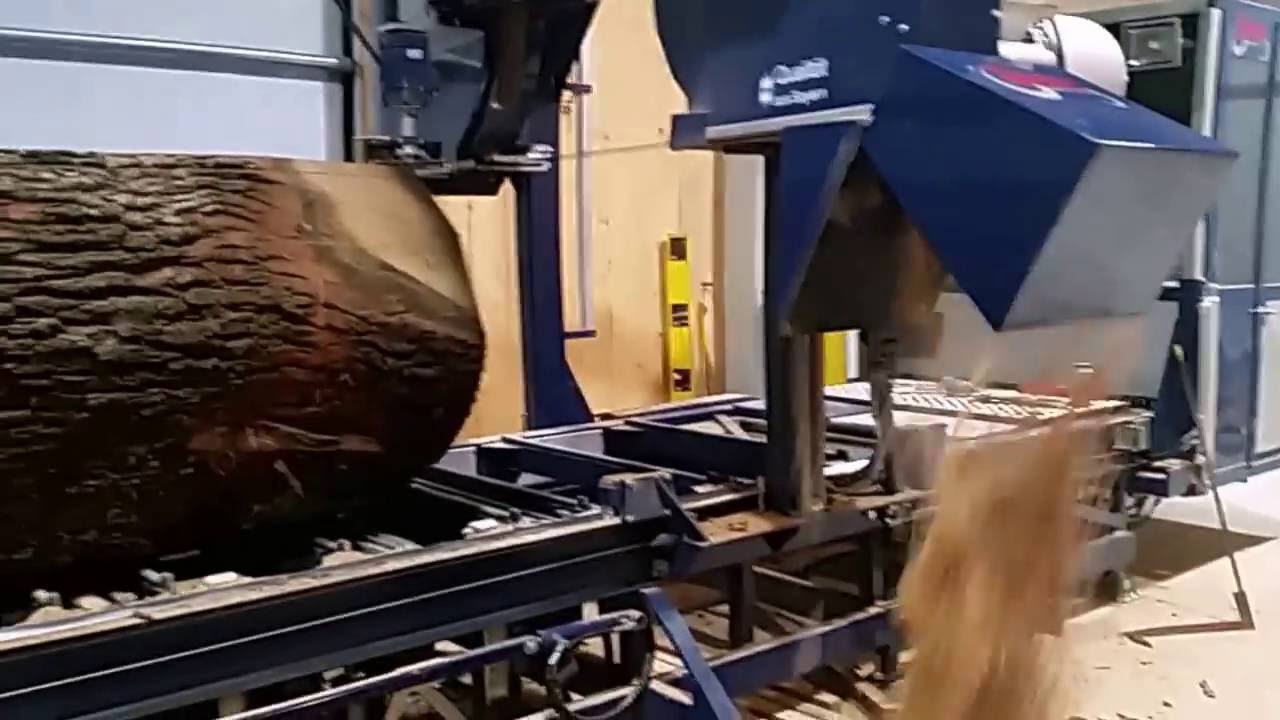 Eichenstamm wird gesägt