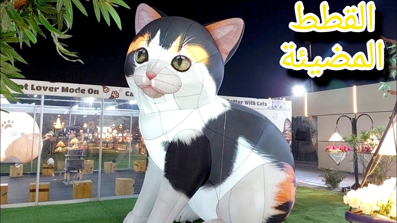 حديقة القطط المضيئة لأول مرة في الإمارات | عجمان | First  Time in UAE 🇦🇪  |Festival Land 