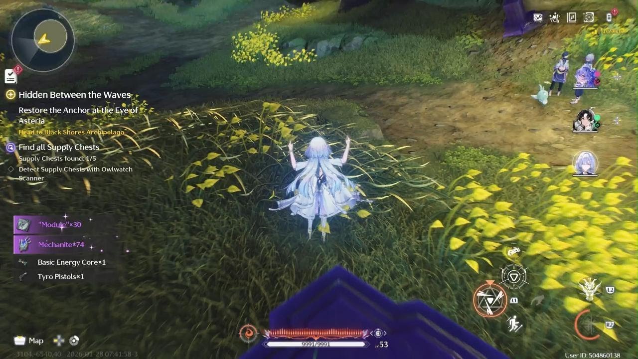 Wuthering Waves_just this time ok ?