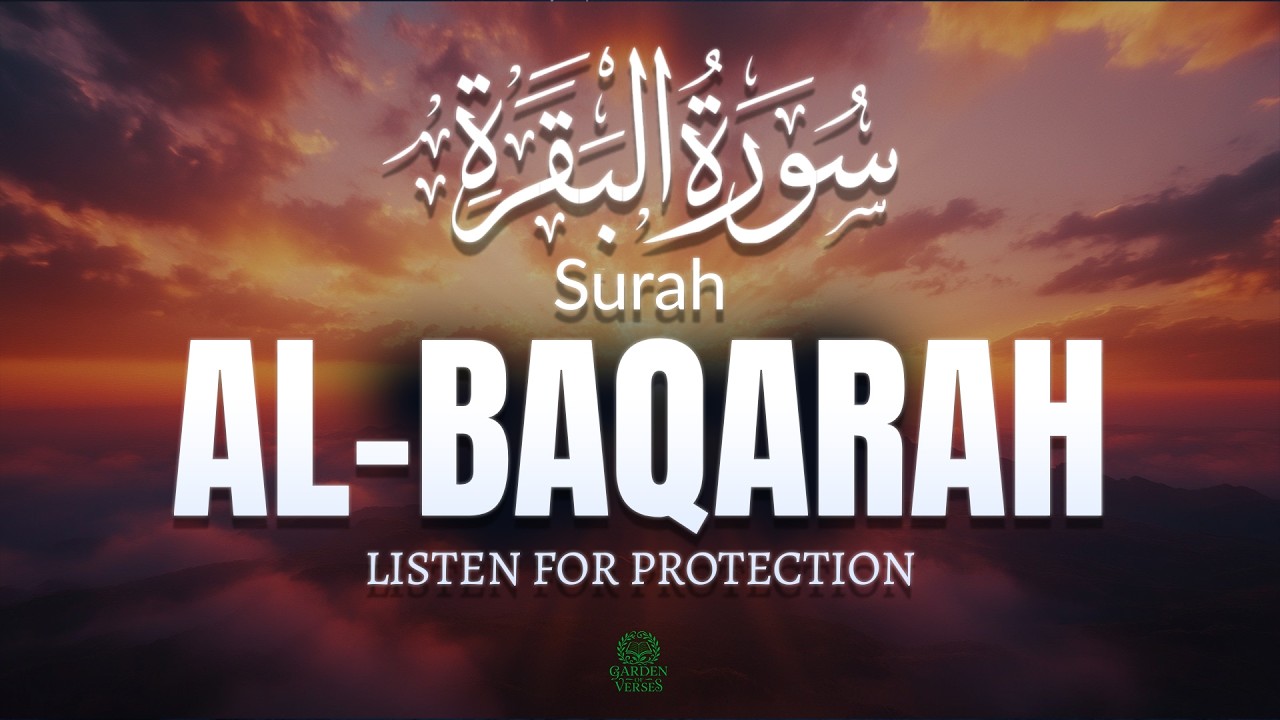 Surah Al-Baqarah (سورة البقرة) | Peaceful Quran Recitation for Protection & Barakah