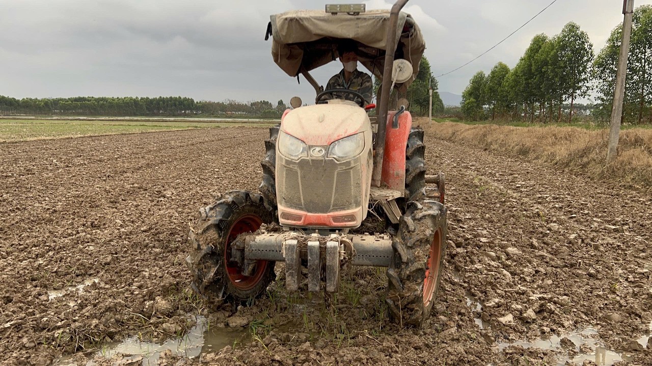 Traditional Plowing in Vietnam | Healing ASMR