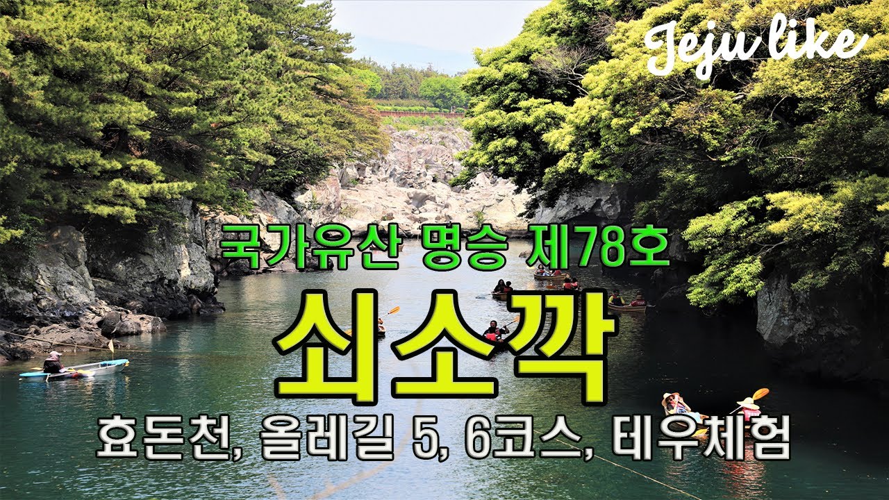 쇠소깍 #Soesokkak #제주여행 #제주관광지추천 #제주해안산책길 #Jeju #제주유명관광지#제주체험관광 #국가지정문화재 #효돈천 #포토존 #올레길 #체험관광 #투명카약