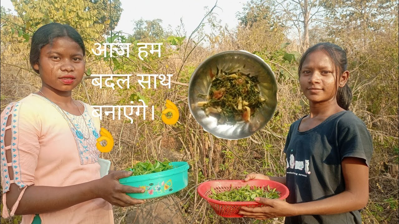 आज बादली साथ लेंगे।👌👌