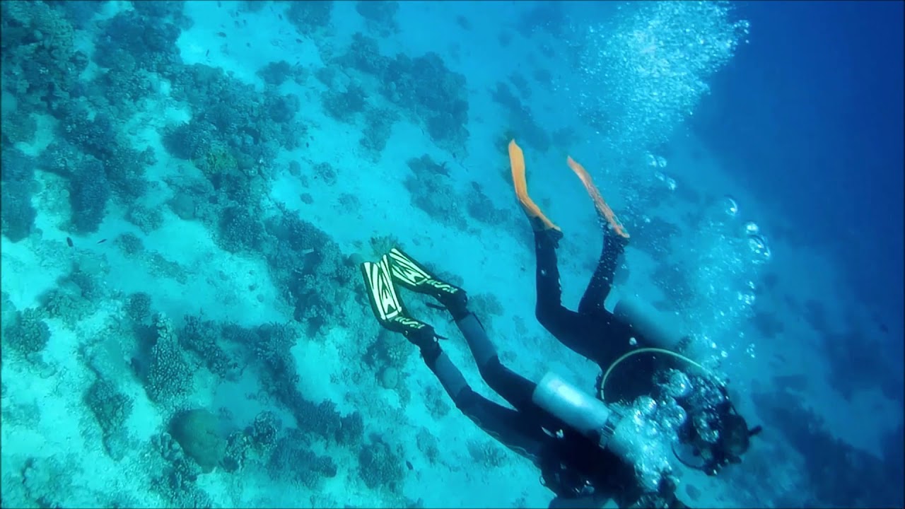 #Schnorcheln am #Hausriff #Arabella Azur /#Hurghada #Ägypten und private Schnorcheltour