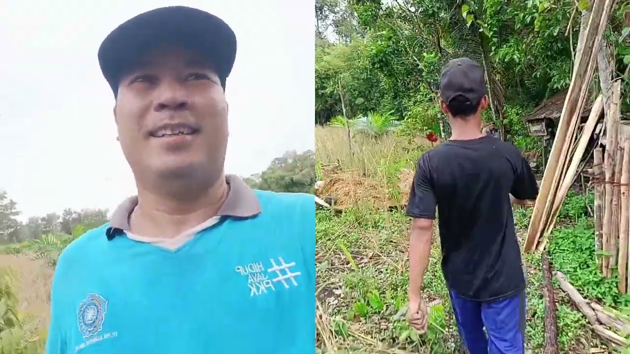 CAMPING BERAMAI RAMAI, PANEN PADI, DAN MEMBERSIHKAN KAYU DIKEBUN
