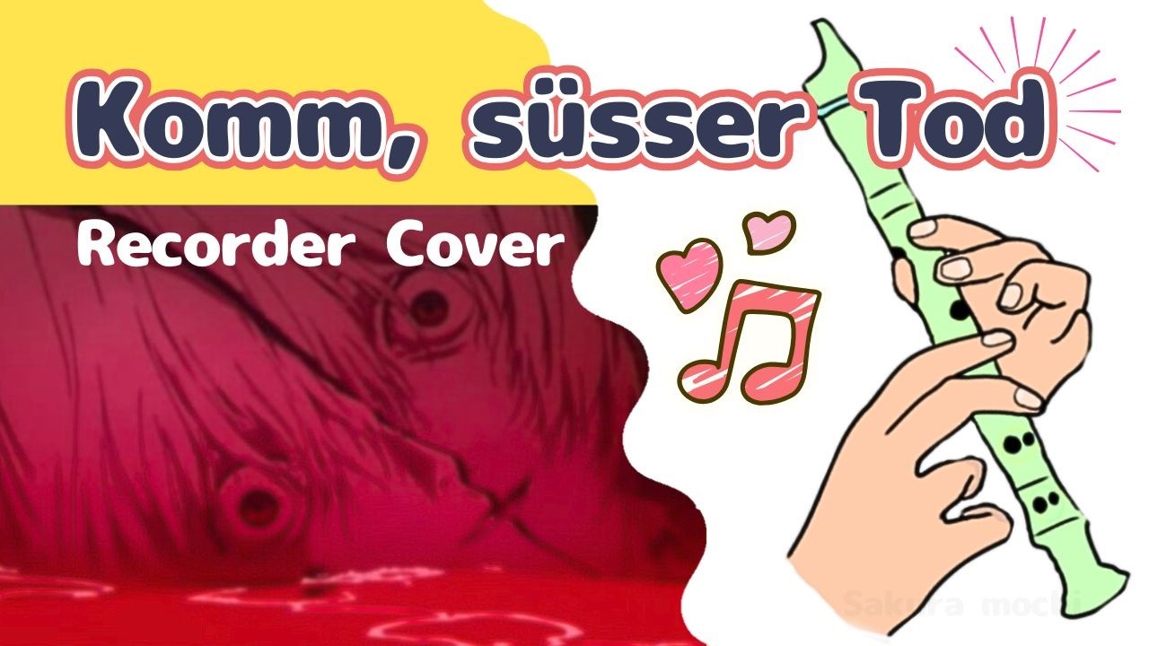 Recorder cover of 