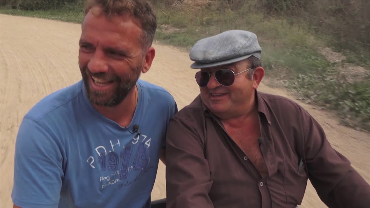 UEP! COM ANAM? [427] - COLLIREM OLIVES I NOUS, ENTRENAREM CAVALLS DE CARRERES I COLLIREM MEL