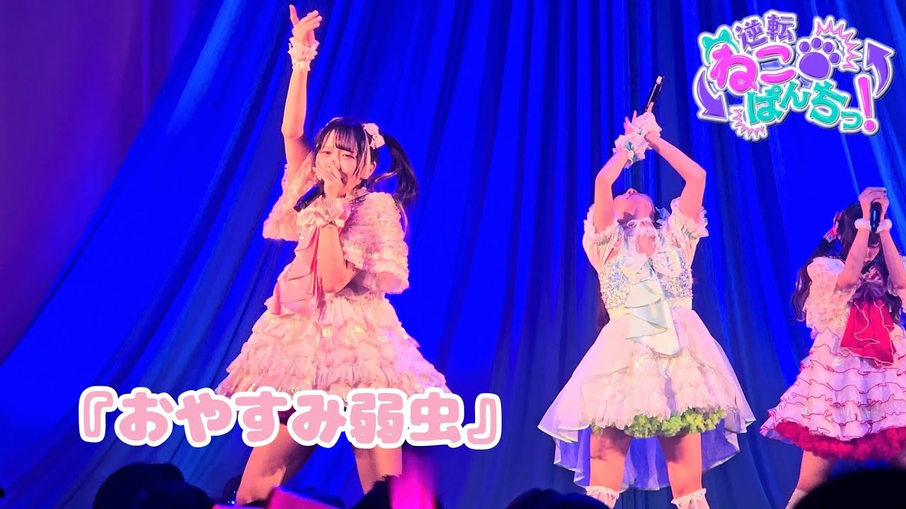 逆転ねこぱんちっ！『おやすみ弱虫』KYUN-FES SP 🗓️2026.01.28 📍Zepp Nagoya