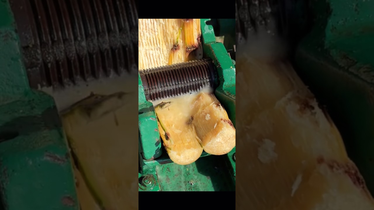 How To Make Sugar cane juice #shorts #shortsfeed #juice #sugarcane #juice #trending #viral #nice