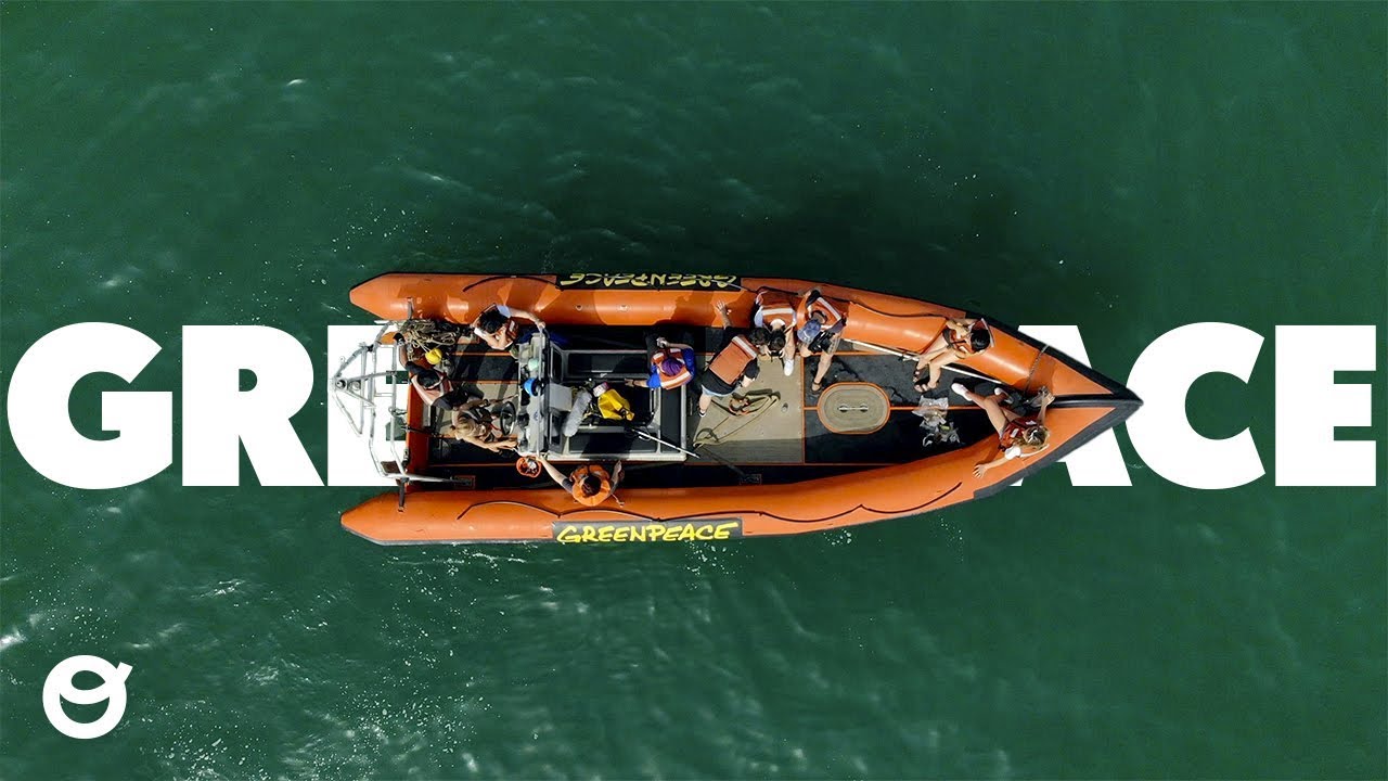 Lo que no sabías del barco de GREENPEACE