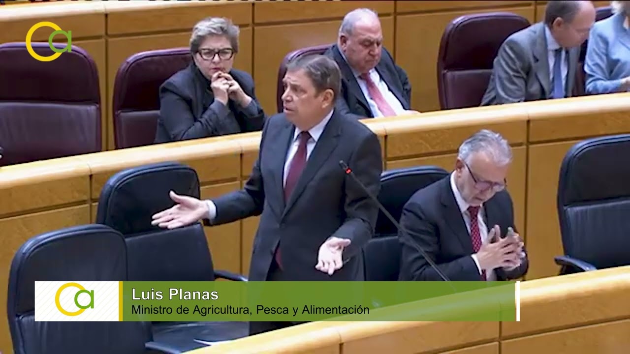 Luis Planas defiende el acuerdo con Mercosur en la sesión de control del Senado