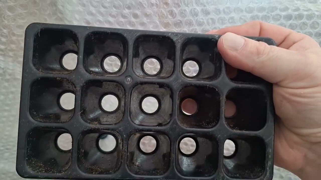 Sowing seeds 