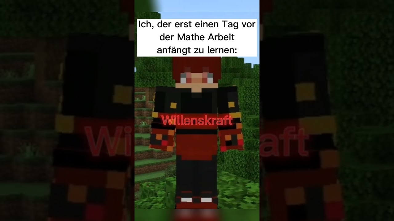 APORED| WILLENSKRAFT