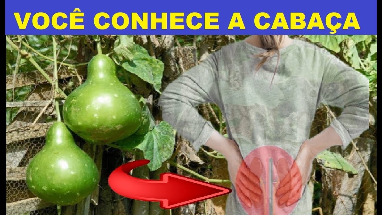 Incr&iacute;vel! Nunca Imaginei Que 1 CABA&Ccedil;A Pudesse Fazer Tudo Isso Pela Sa&uacute;de! Benef&iacute;cios da CABA&Ccedil;A!
