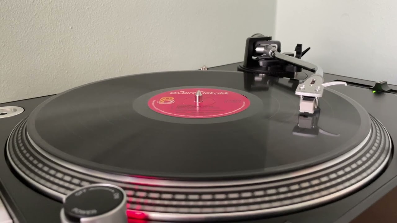 Edip Akbayram Dostlar - Adam Olmak Dile Kolay (Nedir Ne Değildir LP Kayıt)