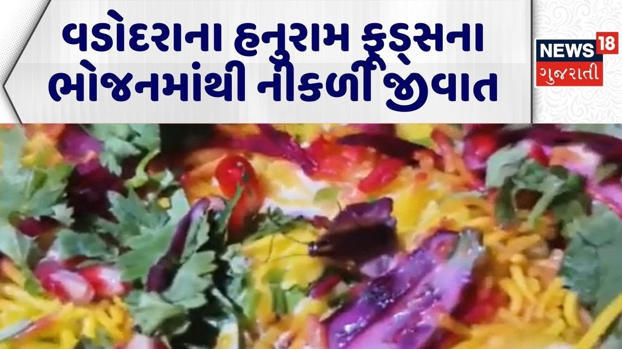 Vadodara Insect In Food | વડોદરાના હનુરામ ફૂડ્સના ભોજનમાંથી નીકળી જીવાત | Cockroach | Food Safety