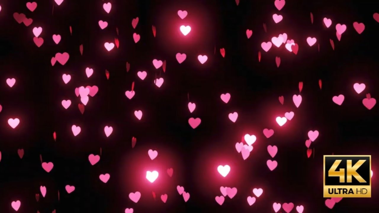 10 Minute Valentine's Starting Soon Screen | Red Hearts Loop | Background