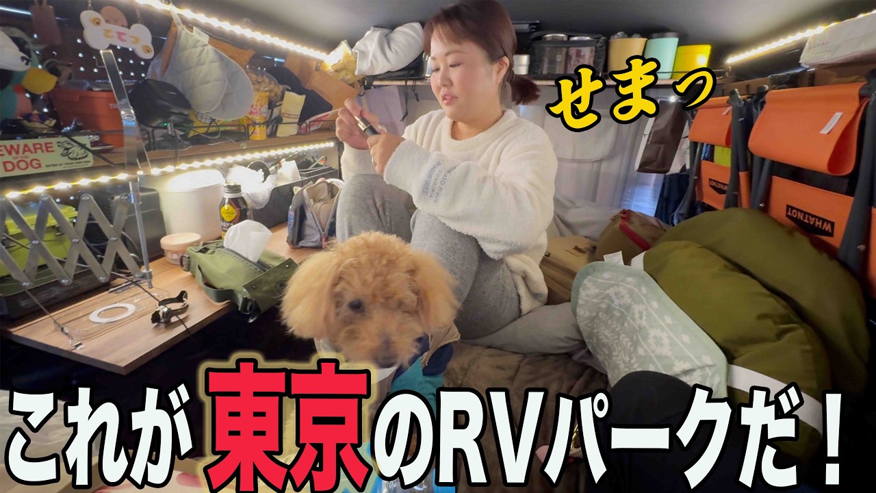 【ハイエース車中泊】犬と東京２３区内で泊まるならここ！くるま旅クラブRVパーク王子神谷