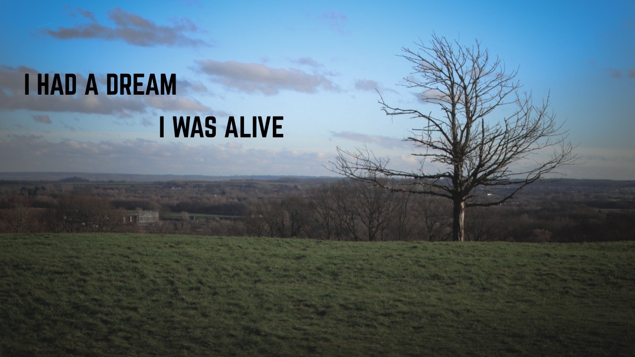 I Had A Dream I Was Alive