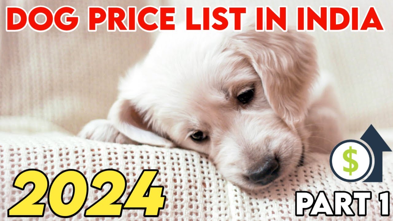 Dog Price List In India 2024 || in hindi || Puppy price list