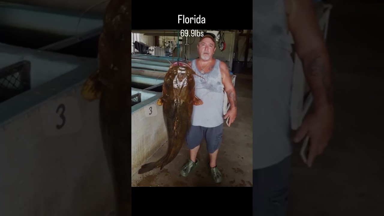 #fishing