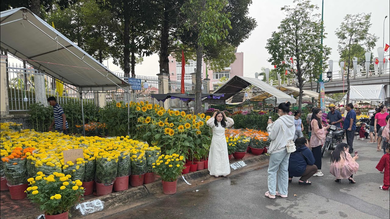 Rực rỡ chợ hoa tết ở đường Quang Trung - Tây Ninh