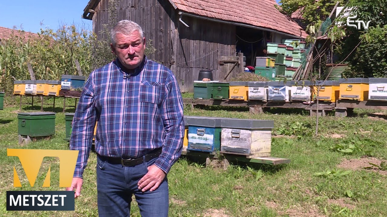 Metszet: méhészek, méztermelés
