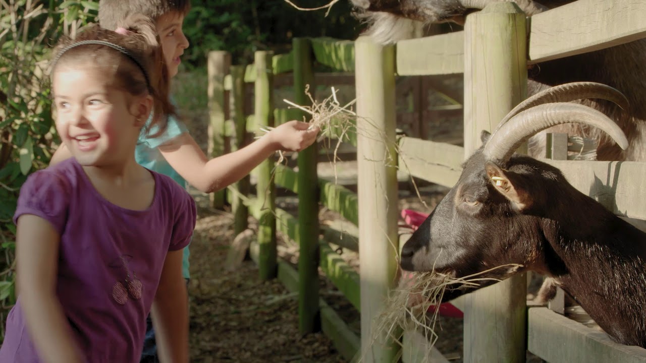Imagefilm der Gemeinde Großenkneten