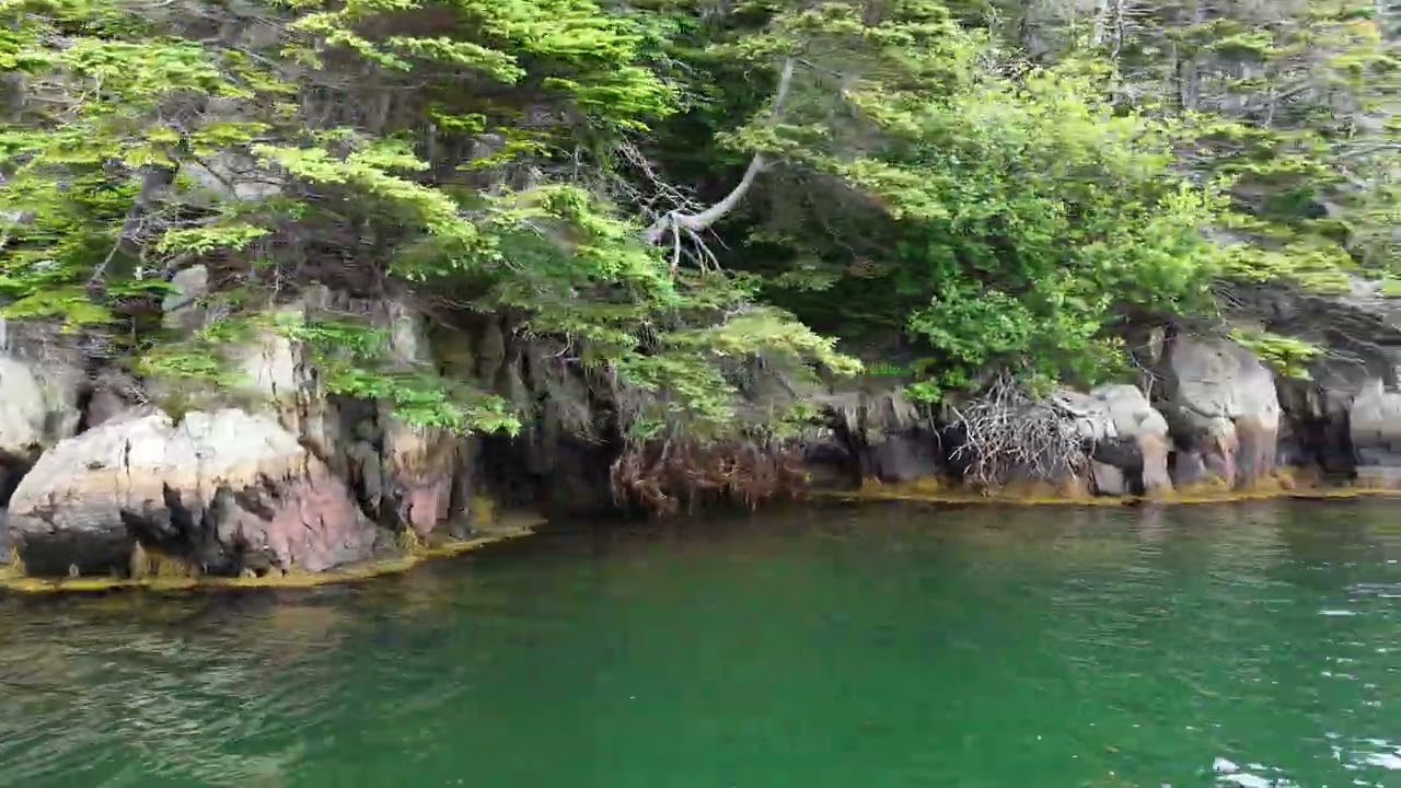 Strouter Adit (Betty's Hole) silver mine Placentia Newfoundland