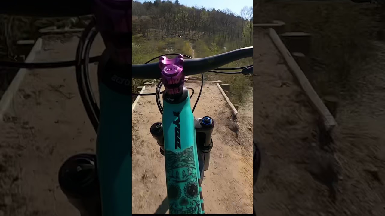 Das Buschgap - Halde Hoppenbruch | #haldehoppenbruch #buschgap #mtbjump #propain #propaintyee #tyee