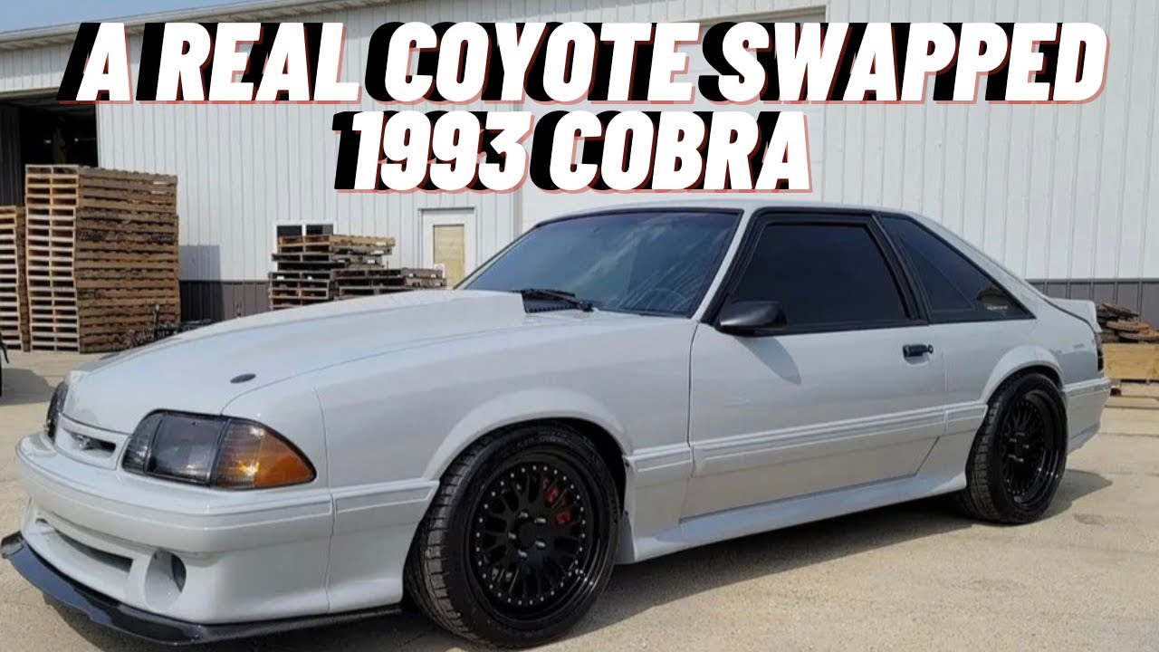 Supercharged Coyote Swapped 1993 Cobra