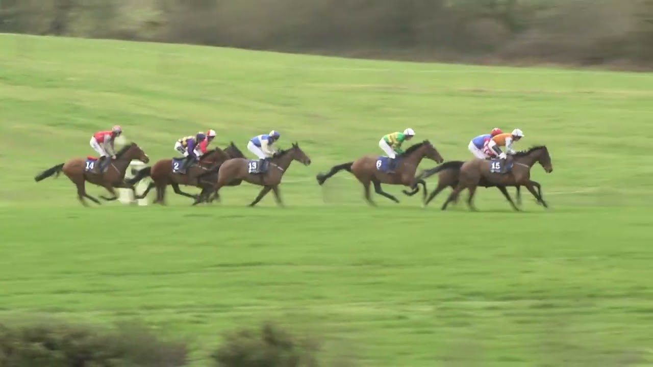 P2P - Avondhu - 15 Feb 26 - R1 Tattersalls Cheltenham February Sale & Coolagown Stud 4yo Maiden