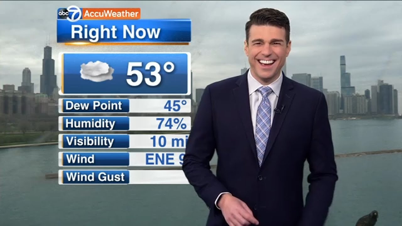 Bird photobombs live news report about birds | ABC7 Chicago