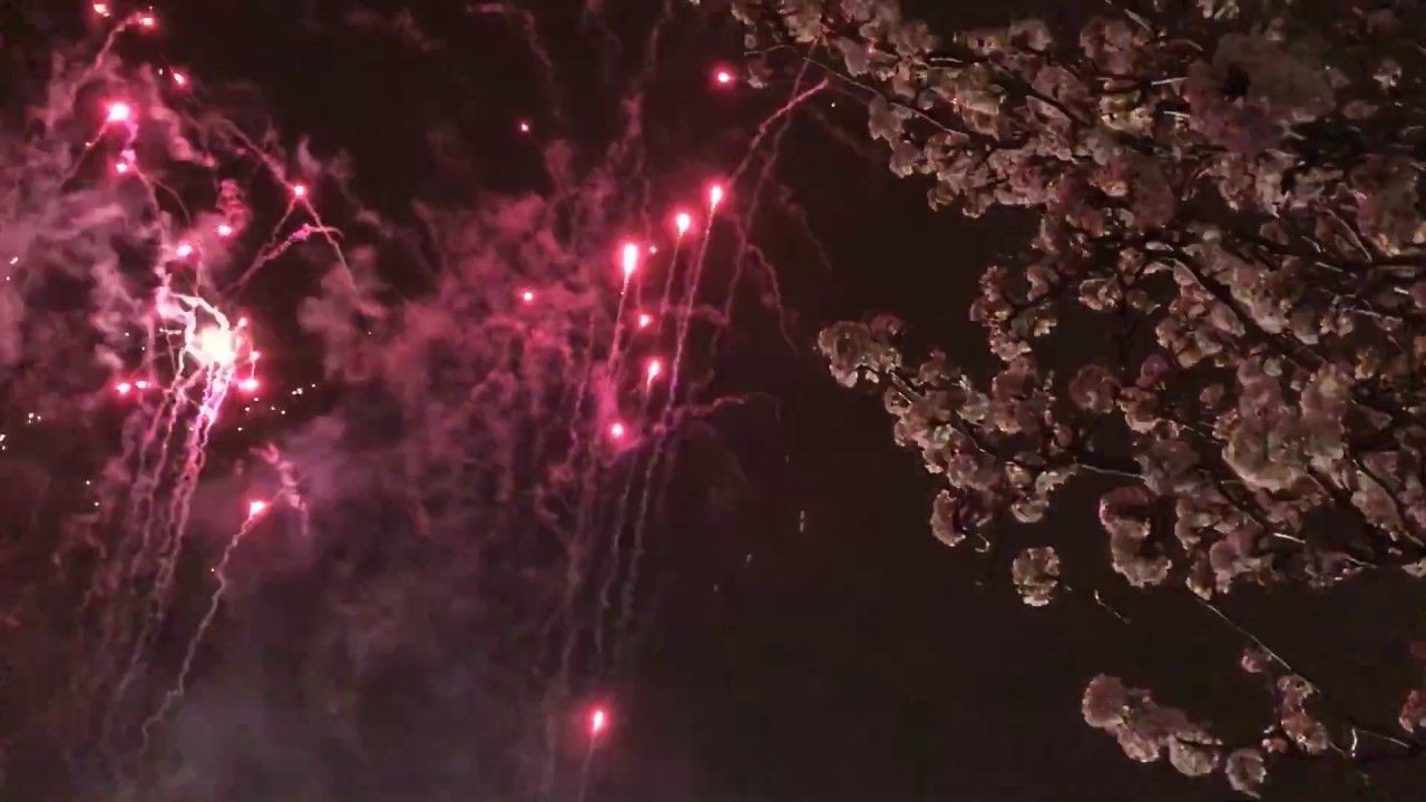 SO BEAUTIFUL Royal Melbourne Show 2018 Fireworks HD 1080p Resolution