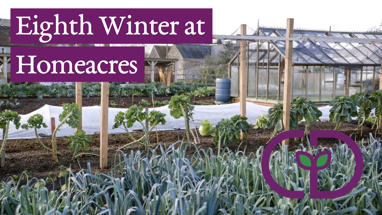 Winter garden with Charles Dowding, see the results of seven years no dig