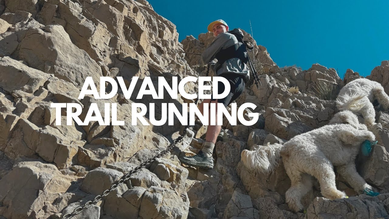 McKelligon Canyon Trail Run with Family and Goldendoodles!