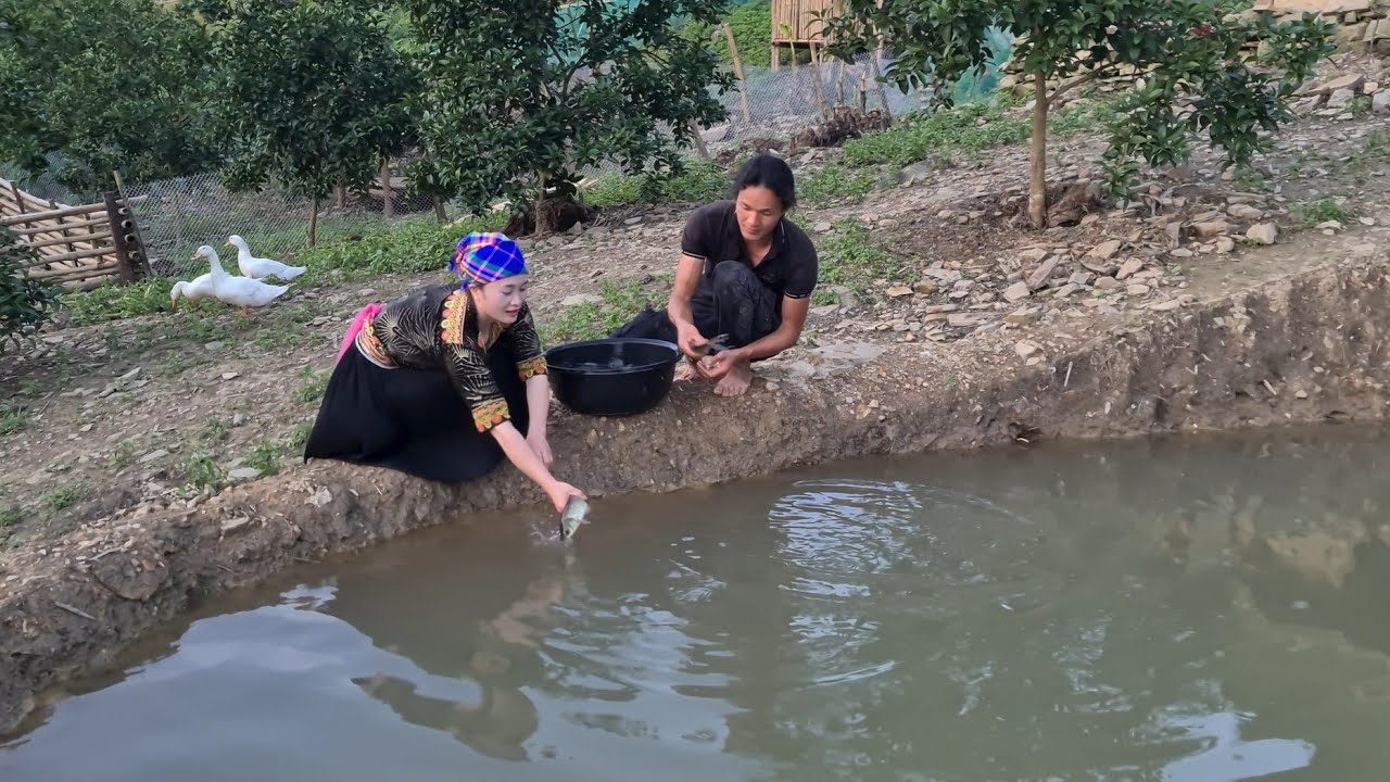 Release fish, harvest cucumbers, take care of flowers, Survival instinct, Wilderness Alone, Ep 227