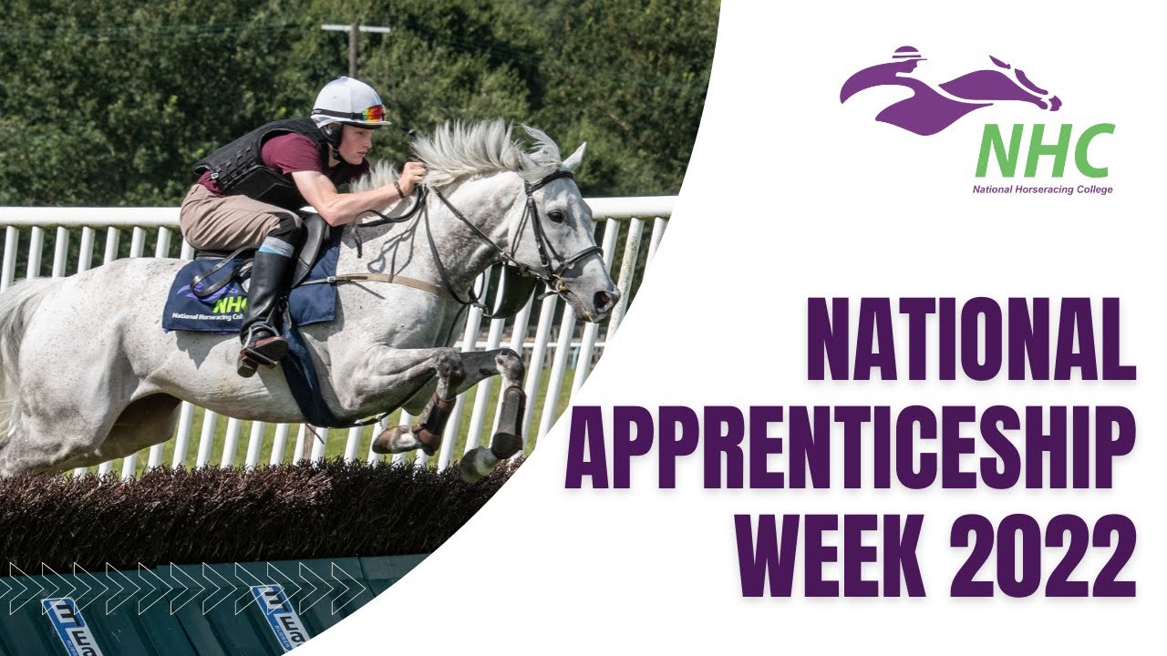 National Apprenticeship Week | Straight from the horses mouth