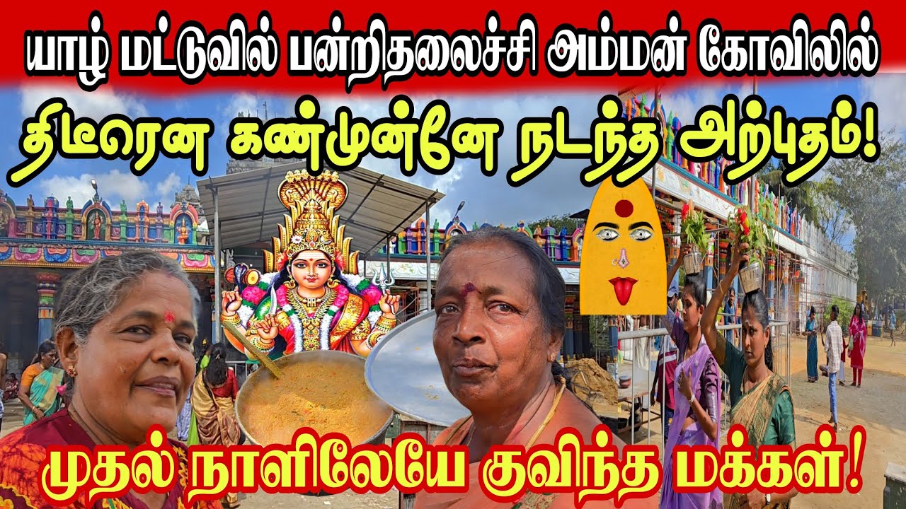 🔴சற்றுமுன்! யாழ் மட்டுவில் பன்றிதலைச்சி அம்மன் கோவிலில் கண்முன்னே நிகழ்ந்த அற்புதம்! குவிந்த மக்கள்!